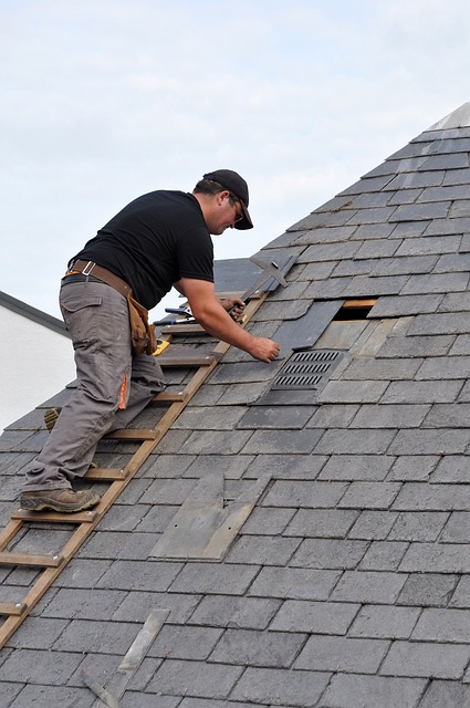 roofer 2967759 640